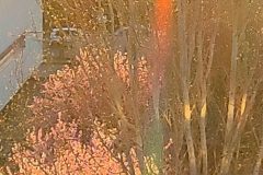 IMG_20200228_075353-683x1024